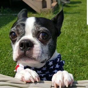 Meet your Posher, Betty